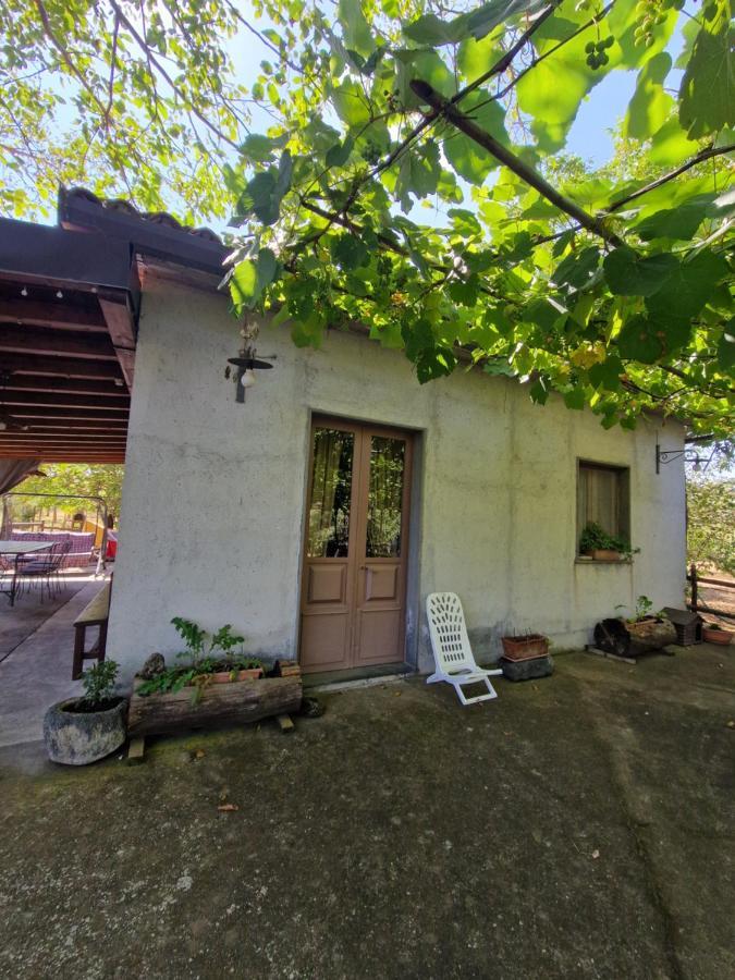 Вилла La Casa Di Giulia Бронте Экстерьер фото